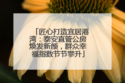 匠心打造宜居港湾：泰安直管公房焕发新颜，群众幸福指数节节攀升