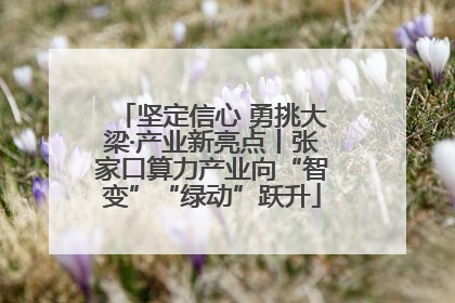坚定信心 勇挑大梁·产业新亮点丨张家口算力产业向“智变”“绿动”跃升