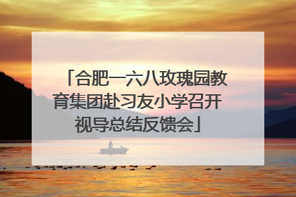 合肥一六八玫瑰园教育集团赴习友小学召开视导总结反馈会
