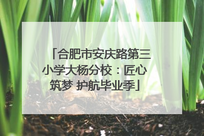 合肥市安庆路第三小学大杨分校：匠心筑梦 护航毕业季