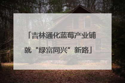 吉林通化蓝莓产业铺就“绿富同兴”新路
