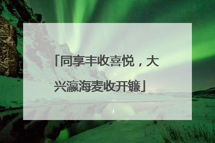 同享丰收喜悦，大兴瀛海麦收开镰