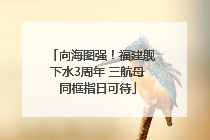 向海图强！福建舰下水3周年 三航母同框指日可待
