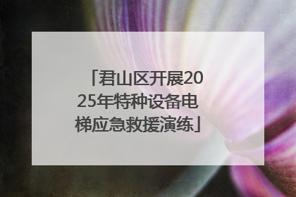 君山区开展2025年特种设备电梯应急救援演练