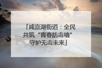 咸嘉湖街道：全民共筑“青春防毒墙” 守护无毒未来