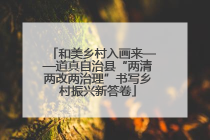 和美乡村入画来——道真自治县“两清两改两治理”书写乡村振兴新答卷