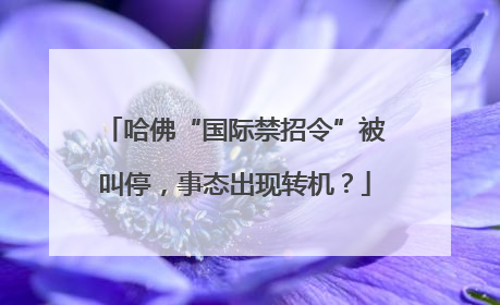 哈佛“国际禁招令”被叫停，事态出现转机？