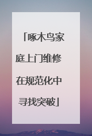啄木鸟家庭上门维修在规范化中寻找突破