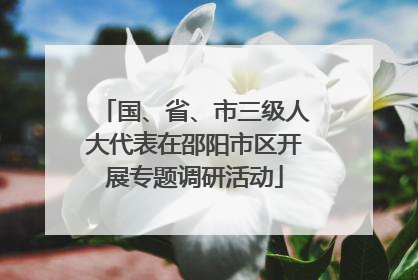 国、省、市三级人大代表在邵阳市区开展专题调研活动