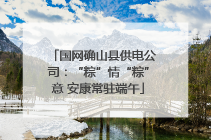 国网确山县供电公司：“粽”情“粽”意 安康常驻端午