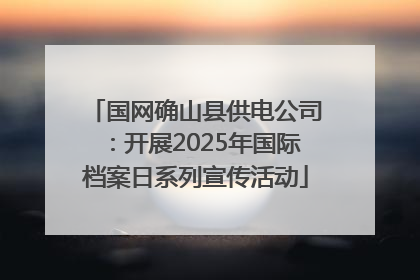 国网确山县供电公司：开展2025年国际档案日系列宣传活动