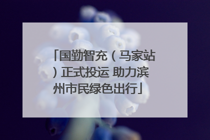 国勤智充（马家站）正式投运 助力滨州市民绿色出行