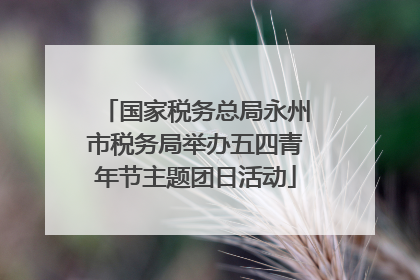 国家税务总局永州市税务局举办五四青年节主题团日活动