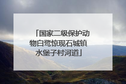 国家二级保护动物白鹭惊现石城镇水堡子村河道