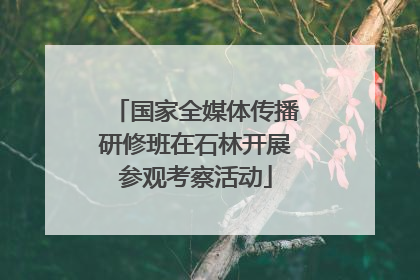国家全媒体传播研修班在石林开展参观考察活动