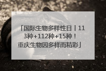 国际生物多样性日丨113种+112种+15种！重庆生物因多样而精彩