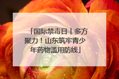 国际禁毒日丨多方聚力！山东筑牢青少年药物滥用防线