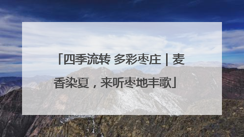 四季流转 多彩枣庄｜麦香染夏，来听枣地丰歌