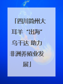 四川简州大耳羊“出海”乌干达 助力非洲养殖业发展