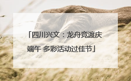 四川兴文：龙舟竞渡庆端午 多彩活动过佳节