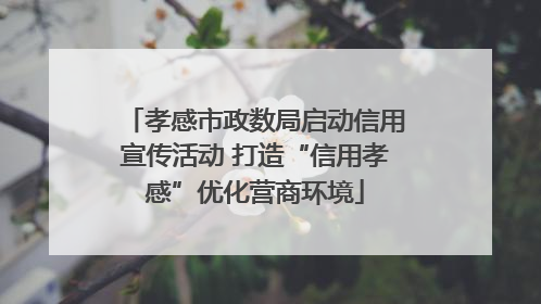 孝感市政数局启动信用宣传活动 打造“信用孝感”优化营商环境