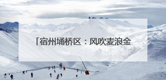 宿州埇桥区：风吹麦浪金满地 农机轰鸣保归仓