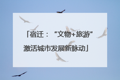 宿迁：“文物+旅游”激活城市发展新脉动