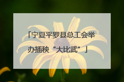 宁夏平罗县总工会举办插秧“大比武”