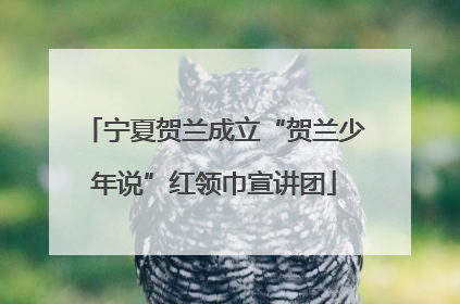 宁夏贺兰成立“贺兰少年说”红领巾宣讲团