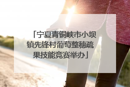 宁夏青铜峡市小坝镇先锋村葡萄整穗疏果技能竞赛举办