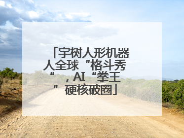 宇树人形机器人全球“格斗秀”，AI“拳王”硬核破圈