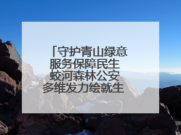 守护青山绿意 服务保障民生 蛟河森林公安多维发力绘就生态惠民新画卷