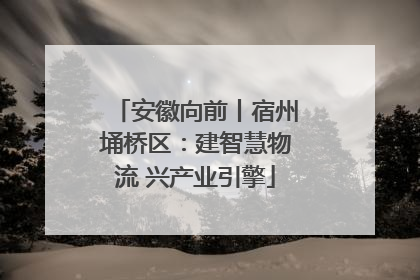 安徽向前丨宿州埇桥区：建智慧物流 兴产业引擎
