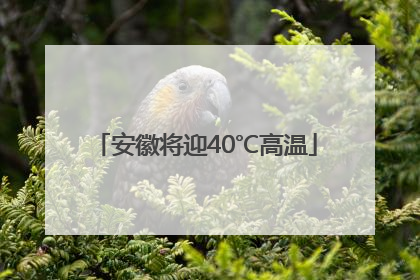 安徽将迎40℃高温
