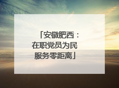 安徽肥西：在职党员为民服务零距离