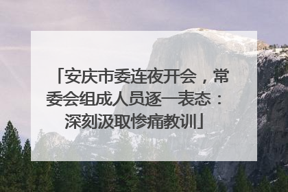 安庆市委连夜开会，常委会组成人员逐一表态：深刻汲取惨痛教训