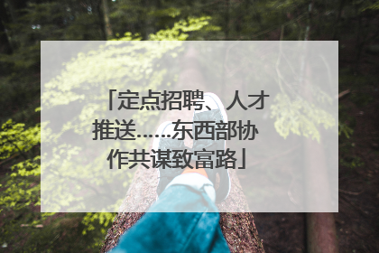 定点招聘、人才推送……东西部协作共谋致富路