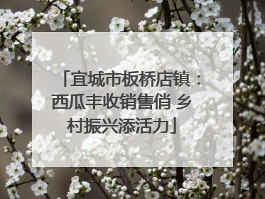 宜城市板桥店镇：西瓜丰收销售俏 乡村振兴添活力