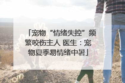 宠物“情绪失控”频繁咬伤主人 医生：宠物夏季易情绪中暑
