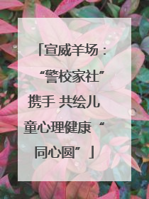 宣威羊场：“警校家社”携手 共绘儿童心理健康“同心圆”