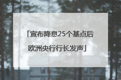 宣布降息25个基点后 欧洲央行行长发声