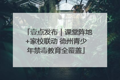 壹点发布｜课堂阵地+家校联动 德州青少年禁毒教育全覆盖