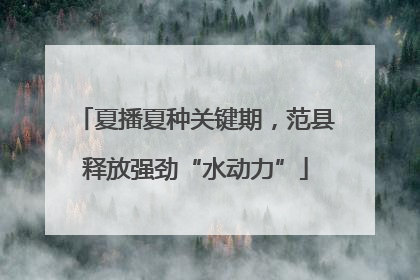夏播夏种关键期，范县释放强劲“水动力”