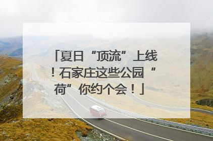 夏日“顶流”上线！石家庄这些公园“荷”你约个会！