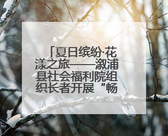 夏日缤纷·花漾之旅——溆浦县社会福利院组织长者开展“畅游薰衣草庄园 共享紫色浪漫”户外活动