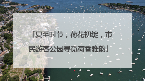夏至时节，荷花初绽，市民游客公园寻觅荷香雅韵
