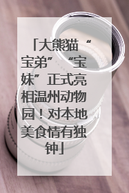 大熊猫“宝弟”“宝妹”正式亮相温州动物园！对本地美食情有独钟