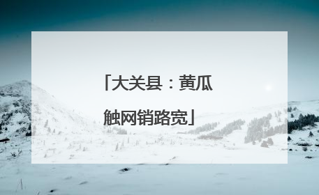 大关县：黄瓜触网销路宽