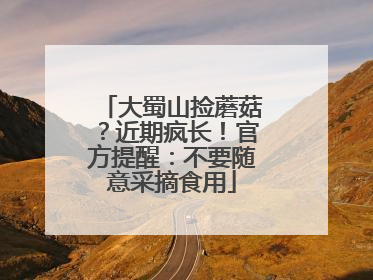 大蜀山捡蘑菇？近期疯长！官方提醒：不要随意采摘食用