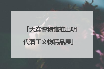 大连博物馆推出明代藩王文物精品展